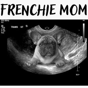 Frenchie Mom Graphic Tee - Black & White Puppy Ultrasound Design Size Large New